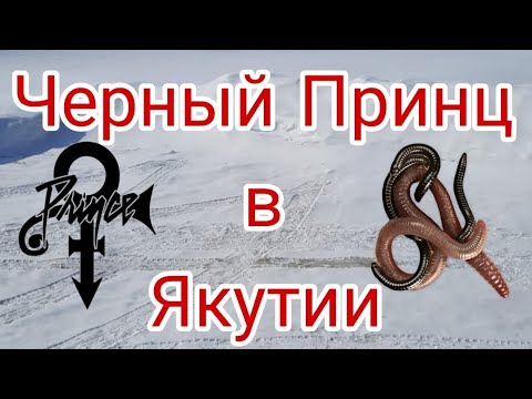 Видео: Черный Принц в Якутии