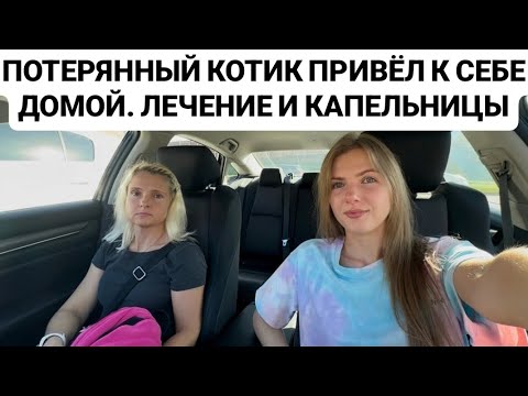 Видео: VLOG: ПОТЕРЯННЫЙ КОТИК ПРИВЁЛ К СЕБЕ ДОМОЙ. ЛЕЧЕНИЕ И КАПЕЛЬНИЦЫ.