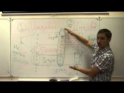 Видео: Ощущения и восприятие  Лекция 5