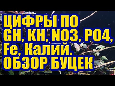 Видео: Сколько у меня Нитрат, Фосфат, Железо, Калий, Общая и Карбонатная Жесткость в Аквариуме. Тесты