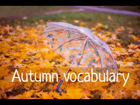 Видео: Autumn vocabulary for children. Лексика по теме "Осень"на английском языке детям #autumn