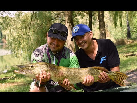 Видео: Флэт vs Карповая классика #1