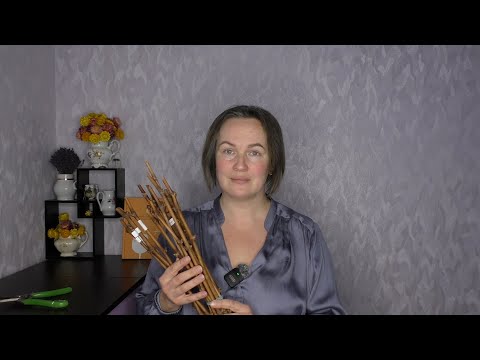 Видео: Правильная подготовка черенков - залог хорошего укоренения винограда