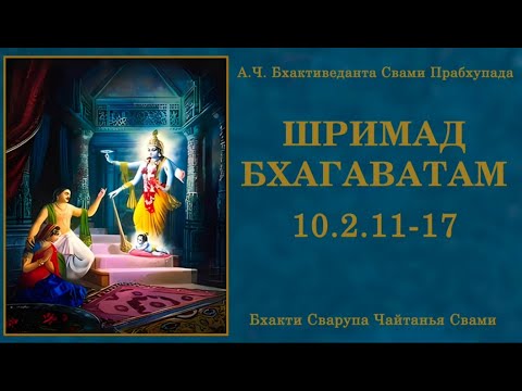 Видео: ШБ 10.2.11-17