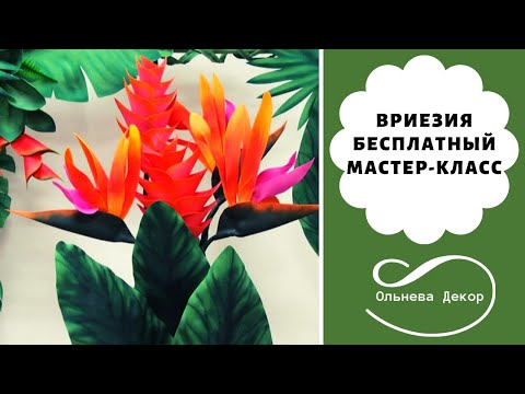 Видео: Vriesea - ЭКЗОТИЧЕСКИЙ ЦВЕТОК. Бесплатный мастер-класс от Olneva Decor