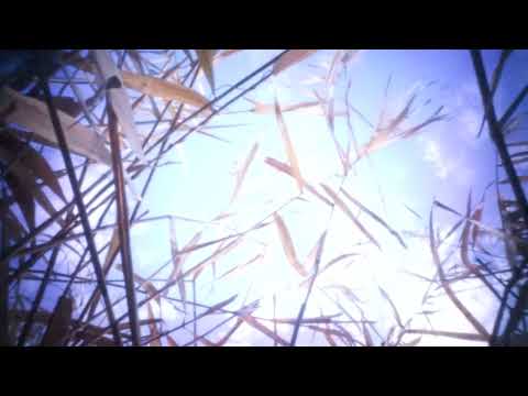 Видео: Шум вітру.