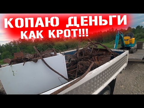 Видео: КАК Я РАНЬШЕ ЖИЛ БЕЗ НЕГО ! ЭКСКАВАТОР В ШОКЕ - РОЮ И КОПАЮ, ЗАРАБАТЫВАЮ! МЕТАЛО КОП И КОЛЫМЫ!