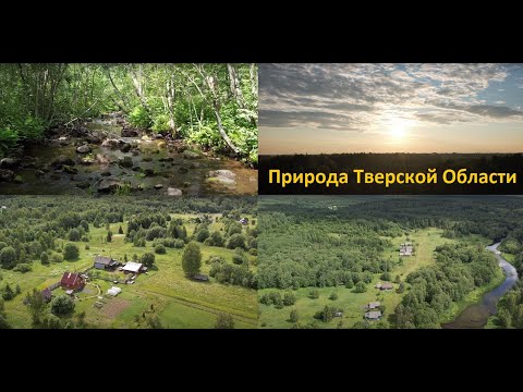 Видео: Природа Тверской области.