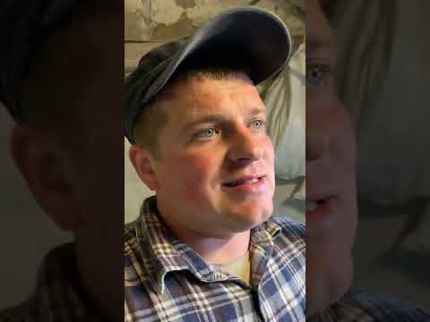 Видео: Відгодівля поросят почалася💪💪💪