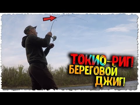 Видео: Открыл для себя новую огрузку ТОКИО-РИГ (Чупа-Чупс) / Ловля ЩУКИ и ОКУНЯ