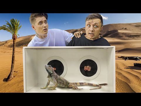 Видео: КАЖЕТСЯ НАЩУПАЛ С МАКСОМ ВАЩЕНКО.