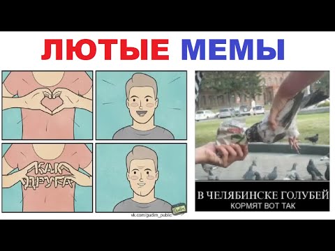 Видео: 200 мемов. Люблю тебя!!! (как друга)