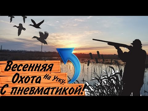 Видео: ВЕСЕННЯЯ ОХОТА НА УТКУ С ПНЕВМАТИКОЙ. ОХОТА С ПОДСАДНОЙ. ОХОТА С HATSAN STRIKER EDGE