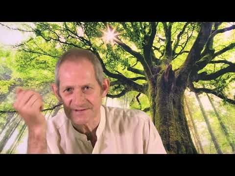 Видео: Исполнение желаний