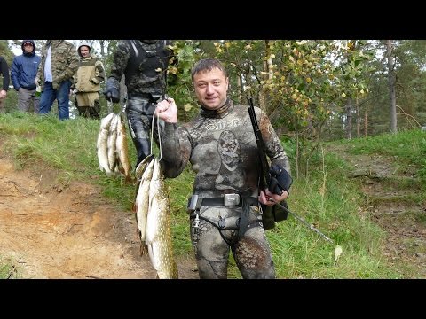 Видео: Подводная охота Санкт-Петербург и Ленинградская область ЛУГА 2016