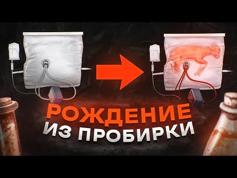 Видео: 🧪🧪Рождение из пробирки. Биоутроба.