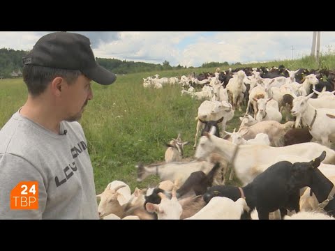 Видео: В гостях у козовода