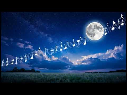 Видео: Слышать Свет