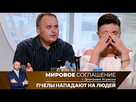 Видео: Мировое соглашение. Эфир от 26 августа 2024 года