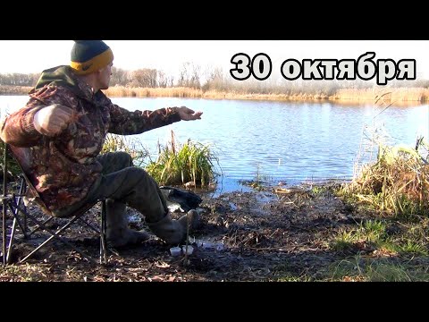 Видео: Неслабая рыбалка на карася на резинку в октябре