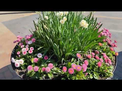 Видео: Переезд из Казахстана в Литву. ЛИТОВСКАЯ ПРОВИНЦИЯ!!!