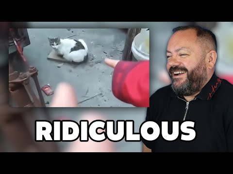 Видео: НЕОБЫЧНАЯ ПОДБОРКА МЕМОВ V345 РЕАКЦИЯ | РЕАКЦИЯ ОФИСНЫХ ПАРНЕЙ!!