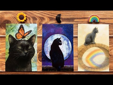 Видео: ✨11:11✨ ЧЁРНЫЙ КОТ НАШЁЛ ТЕБЯ, И У НЕГО ЕСТЬ ПОСЛАНИЕ ДЛЯ ТЕБЯ!🐈‍⬛🌝🔮| Гадание на картах Таро