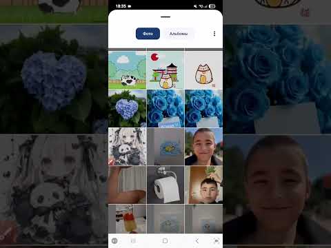 Видео: 25 октября 2025 г.