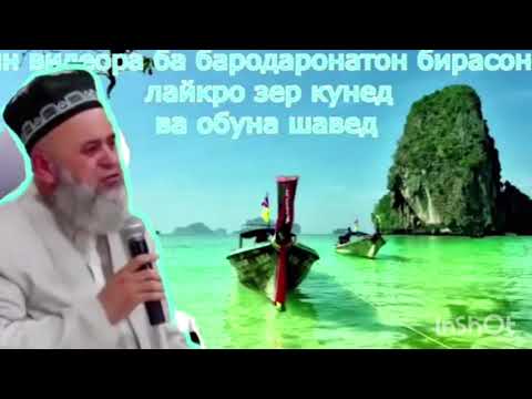 Видео: ХОЧИ МИРЗО 2024 САВОЛУ ЧАВОБ 14 январь