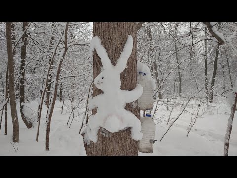 Видео: Kelly Kettle и сосиски...