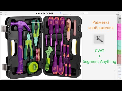 Видео: Ускоряем разметку изображений в CVAT с помощью Segment anything