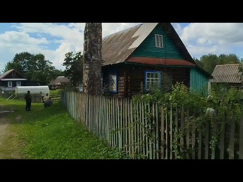 Видео: Ери 65 соток Уй 40м². Свет, Вокзал, Ховуз, Асалари. Кунья р-н дер. Бегуново. Москва - Рига трасса