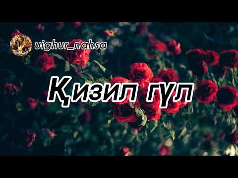 Видео: Уйгурская песня- Қизил гүл (Хәлиқ нахшиси)