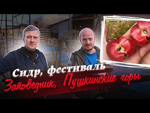 Видео: СИДРОДЕЛЬНЯ "ЗАПОВЕДНИК" - душевно, круто, яблочно.