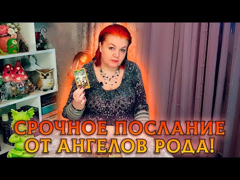 Видео: ВАМ СРОЧНОЕ ПОСЛАНИЕ ОТ АНГЕЛОВ РОДА!