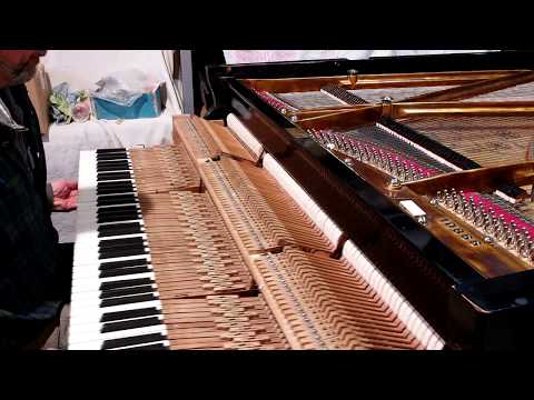 Видео: Реставрация рояля "Беккер" 170