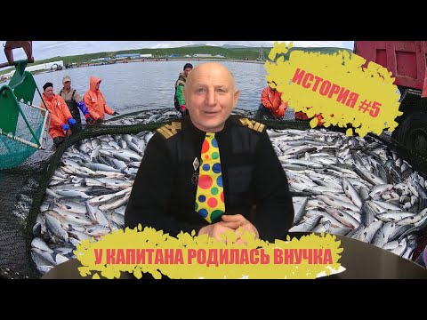 Видео: История #5. У капитана родилась внучка. Отметили.
