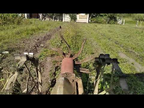 Видео: самодельный трактор копает картошку.