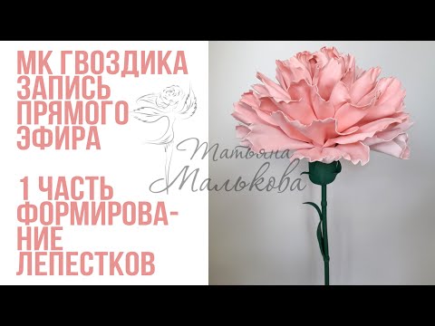 Видео: МК ГВОЗДИКА ИЗ ФОАМИРАНА РОСТОВАЯ, 1 ЧАСТЬ, формирование лепестков(запись прямого эфира 03.05.20)