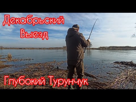 Видео: Рыбалка 02-03.12.Зимний выезд на Глубокий.Ночной клёв сазана#глубокийтурунчук#рыбалка2023#сазан