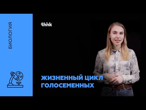 Видео: Жизненный цикл голосеменных | Биология