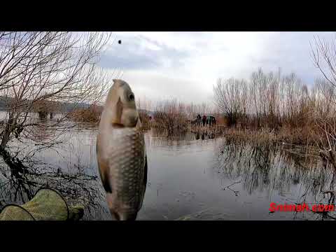 Видео: Мартенски риболов на каракуда на язовир Огняново
