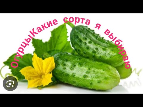 Видео: Обзор семян огурцов🥒От чего не откажусь 😀,а что не впечатлило😉