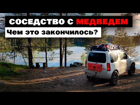 Видео: Дикий кемпинг в КАРЕЛИИ: встреча с МЕДВЕДЕМ, рыбалка на озере и грибной бонус