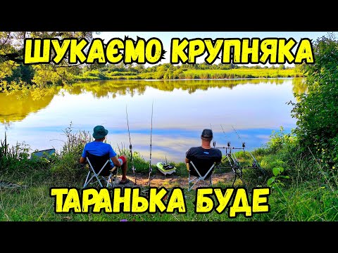 Видео: РИБОЛОВЛЯ НА ПЛАТНІКУ, ШУКАЄМО КОРОПА
