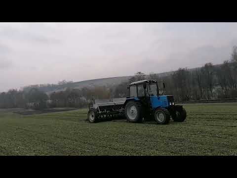 Видео: Перше підживлення озимого ячменю сівалкою СЗ-3.6 #мтз #парадіс