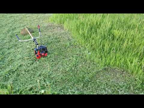 Видео: Мотокоса Vitals Bk553avs Black Edition. Расход топлива и количество скошенной травы