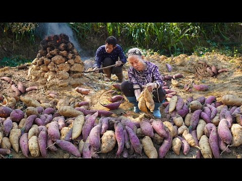 Видео: Использование 150 катти батата для приготовления бататовой муки｜Бабушка из Гуанси