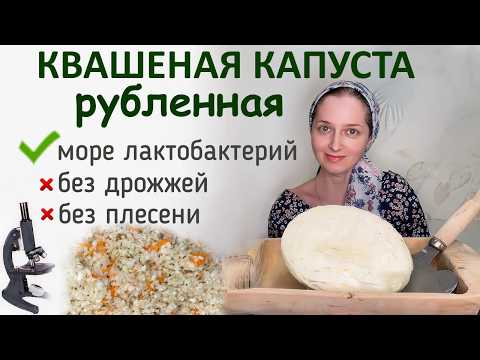 Видео: Квашеная капуста без дрожжей. Натуральный пробиотик!