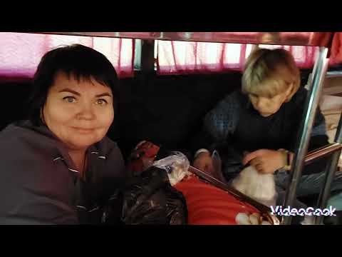 Видео: Хоргос  день первый